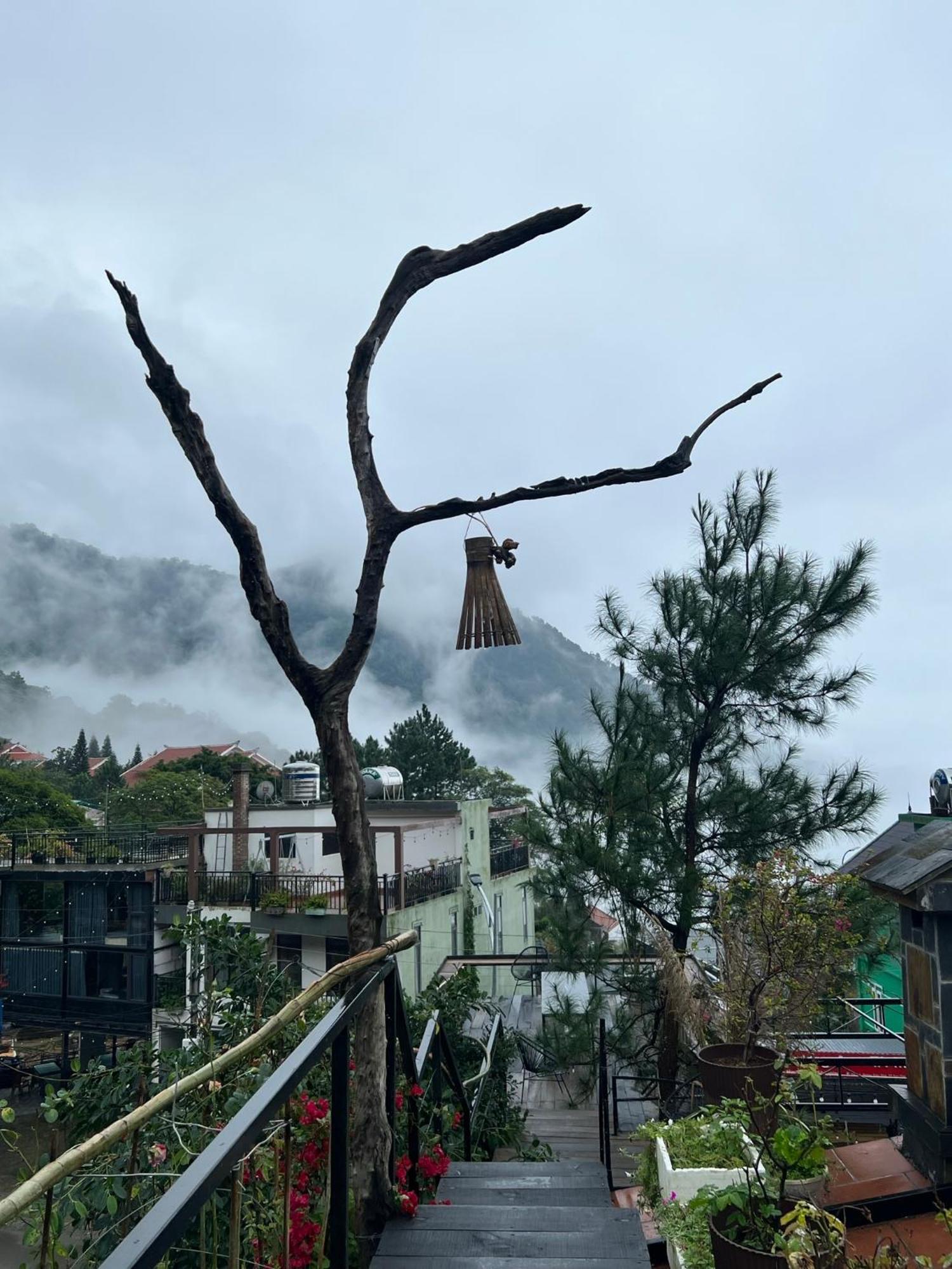 Bach Xanh House. Triangle Bungalow Tam Dao ภายนอก รูปภาพ